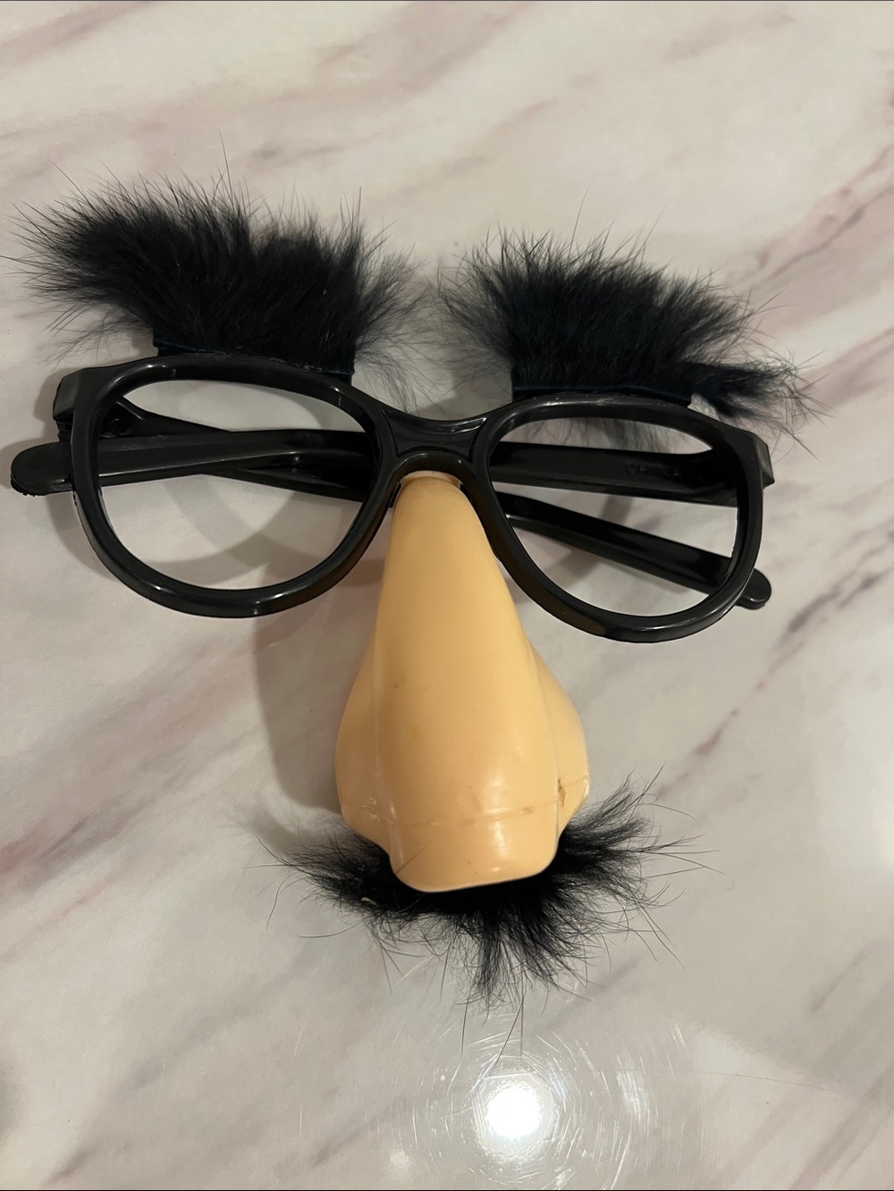 Novelty Groucho Marx Glasses with Faux Nose and Mustache - Black